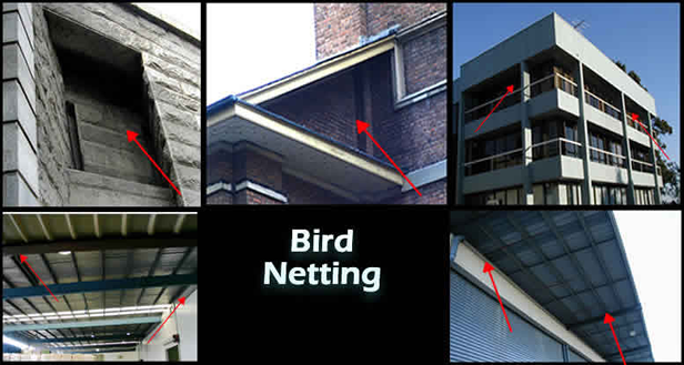 bird netting sydney