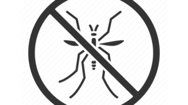 Insect & Spider Control